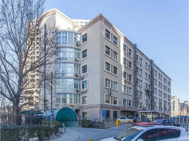 嘉兴喝领头牛招商加盟